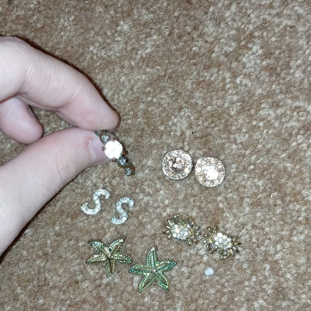 Earrings